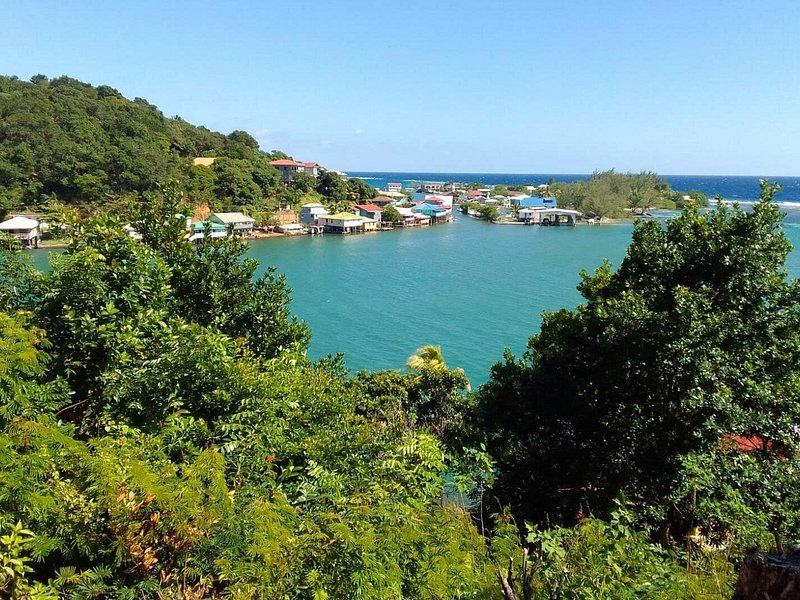 A turquoise bay and a waterside village seen from a wooded hillside