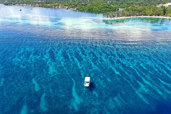 A small boat over rippled blue water and reef, the green shore beyond