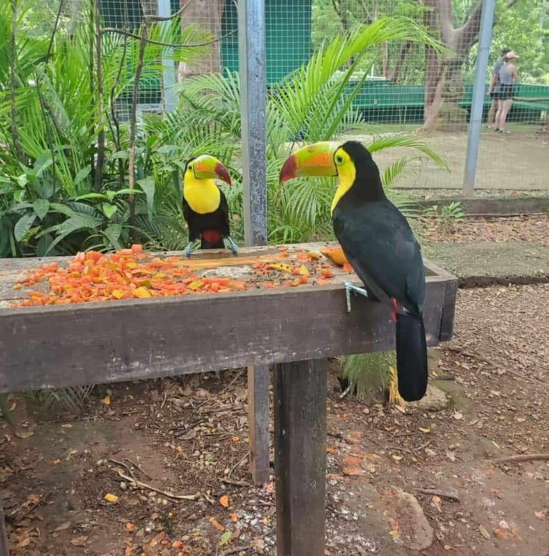 Roatan: The perfect family day