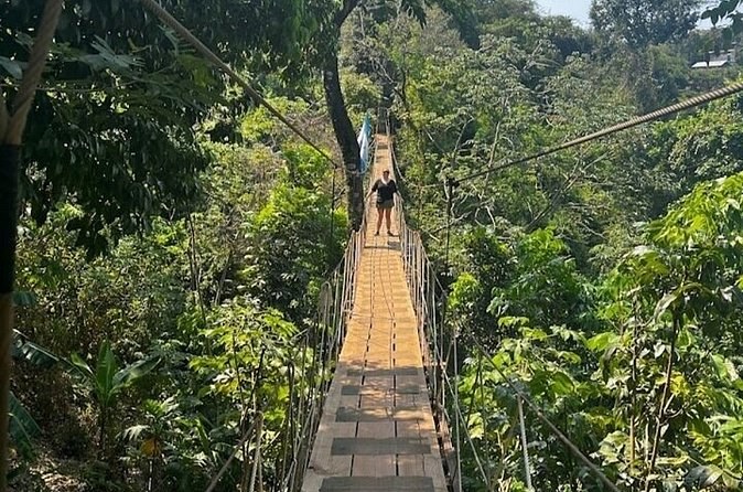 A wooden suspension bridge stretching away through the forest canopy